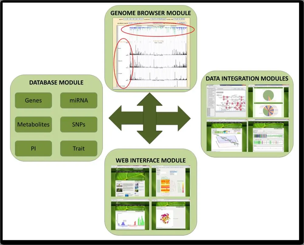 SoyKB architecture