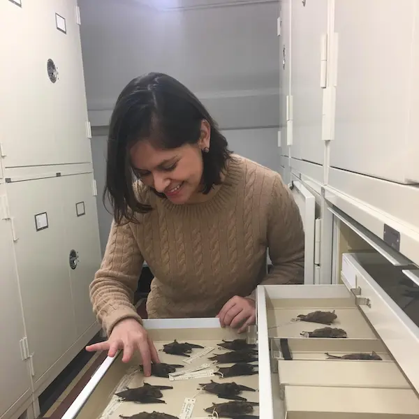 Ariadna looking over bats in a case