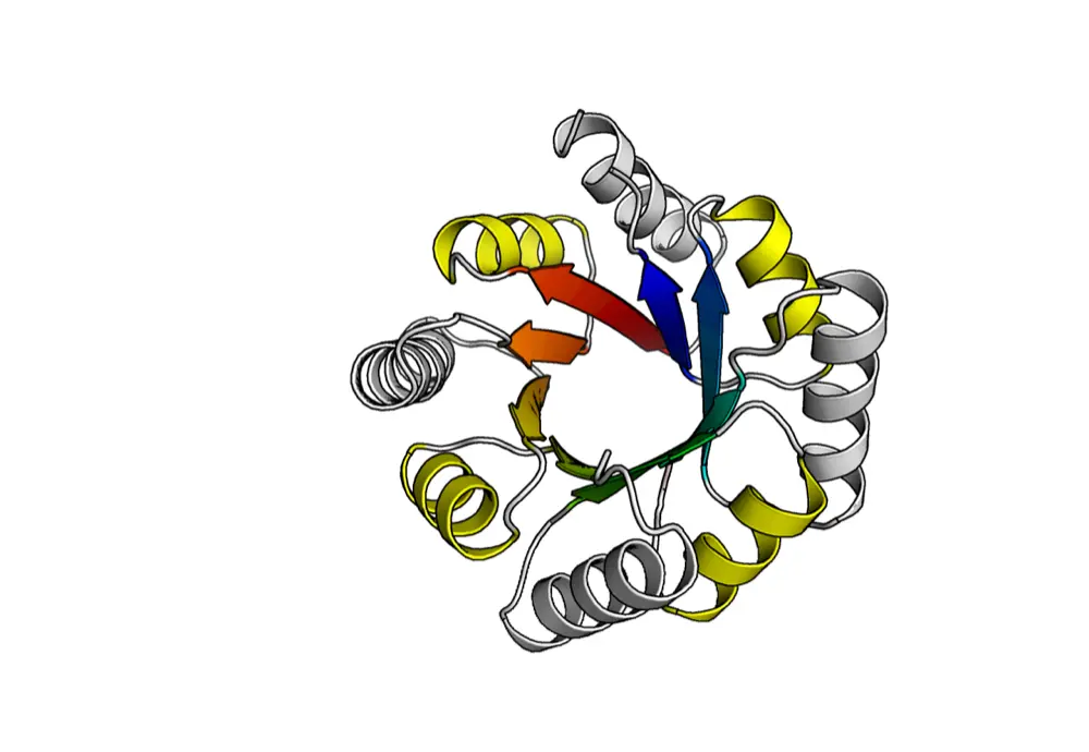 Image from a calculation used in the design of a TIM-barrel protein