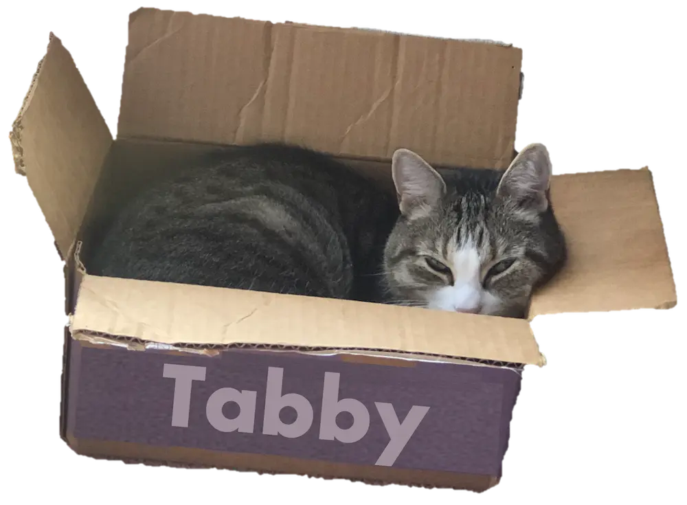 Tabby Logo, credits: Sonia Cromp