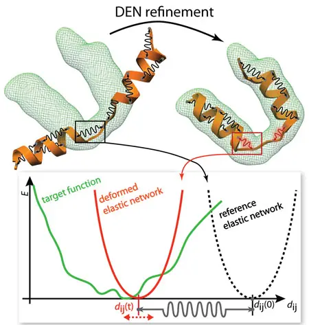 Protein structure image courtesy Gunnar F. Schröder