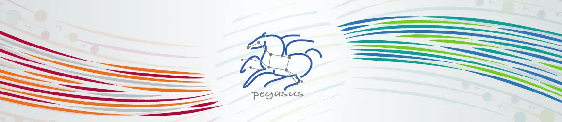 Pegasus Workflows Training Banner